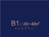 B1户型46-48平米